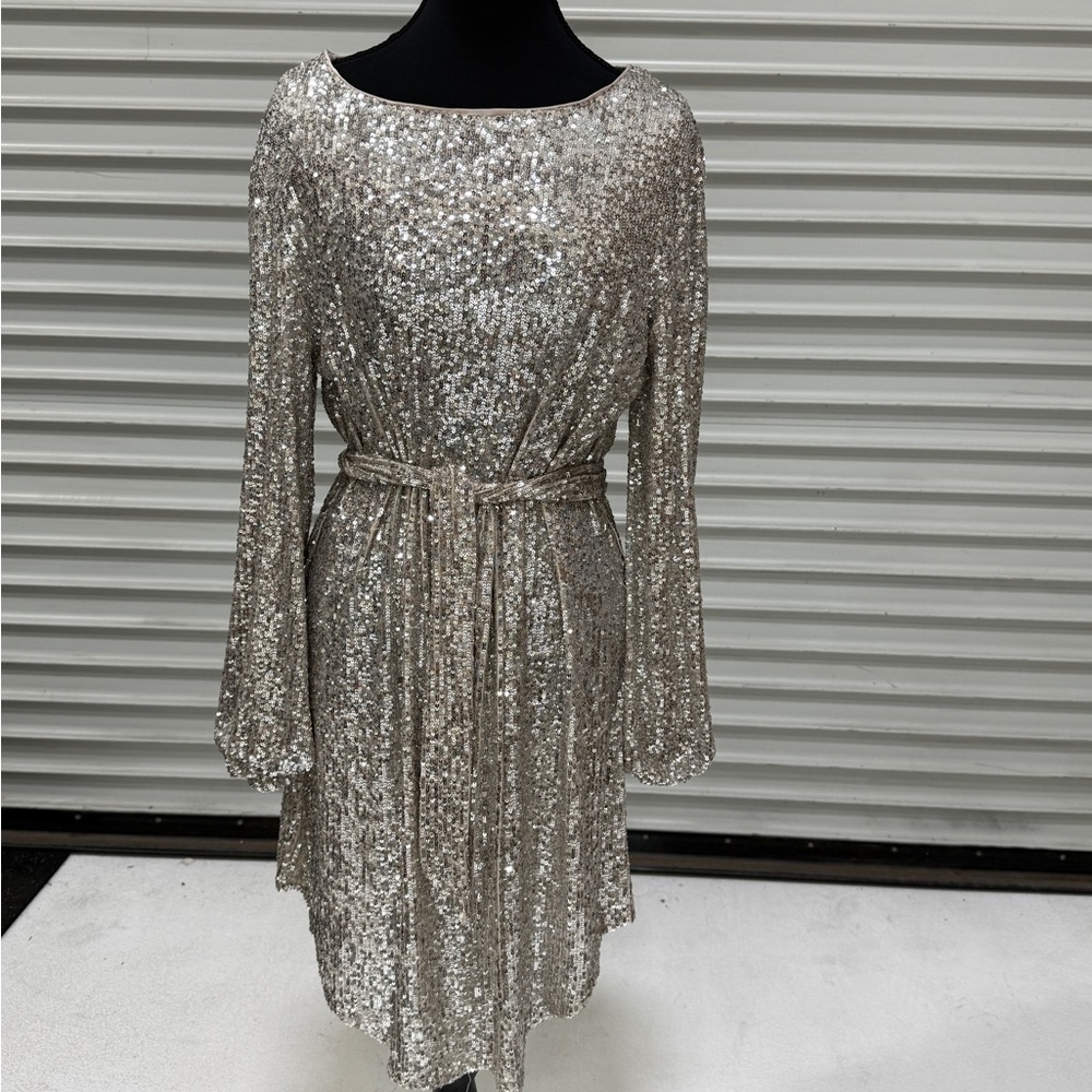Elegant Silver Sequin Dress